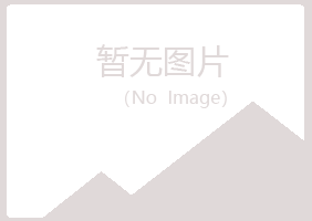 田东县盼夏能源有限公司